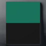 Flag of Texel Plaque<br><div class="desc">Flag of Texel ,  The Netherland
 The flag consists of two horizontal stripes of equal width,  the upper one green and the lower one black</div>