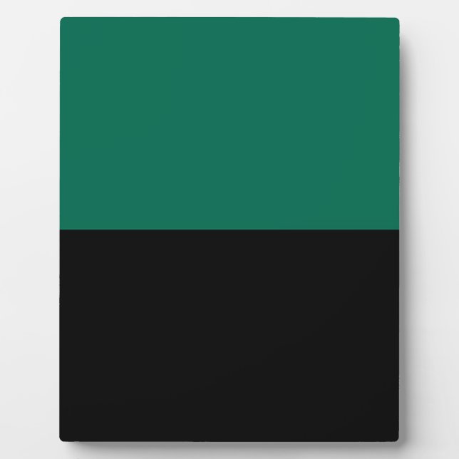 Flag of Texel Plaque (Front)