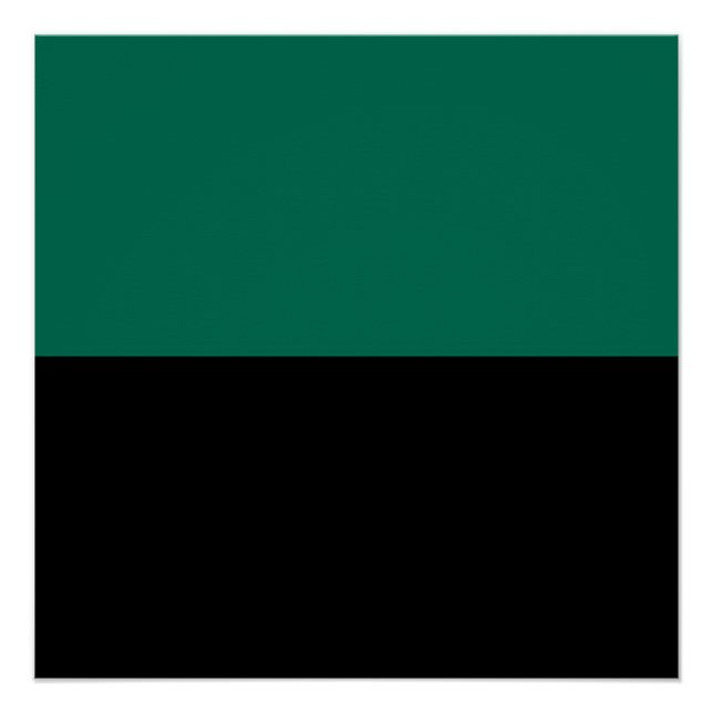 Flag of Texel Poster (Front)