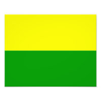 Flag of The Hague