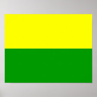 Flag of The Hague Poster
