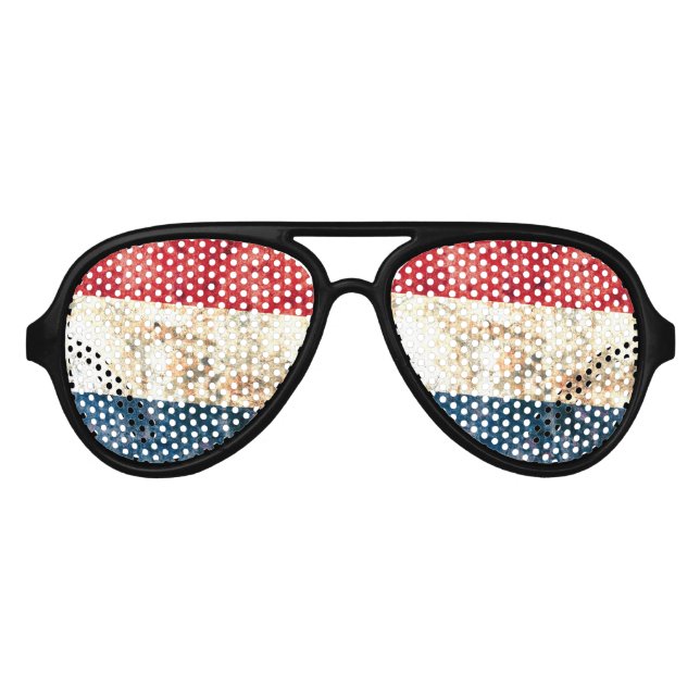 Flag of the Netherlands Aviator Sunglasses (Front)