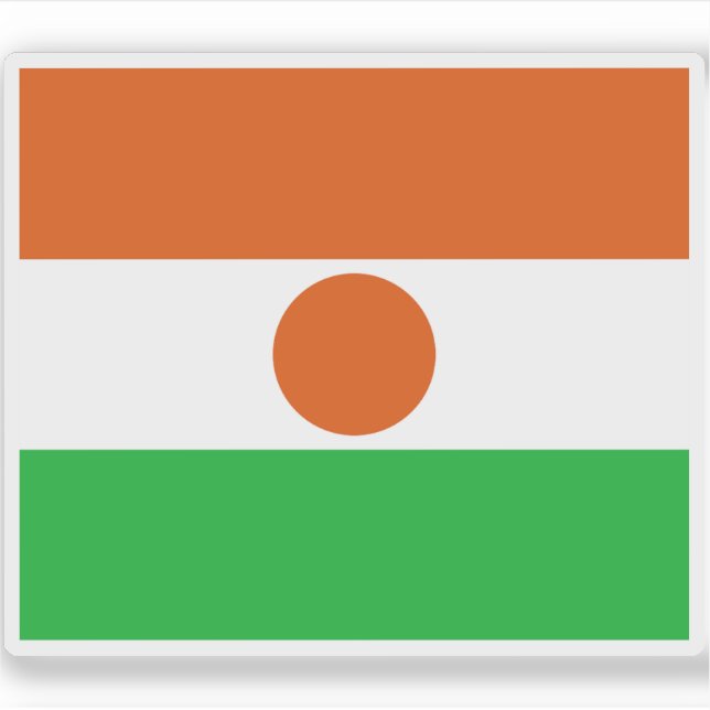Flag of the Republic of the Niger (Front)