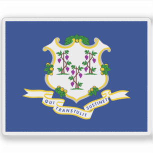 Flag of the state of Connecticut, USA