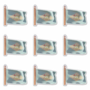 Flag of the State of Delaware