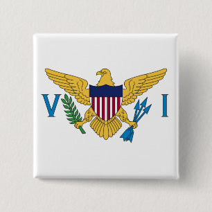 Flag of the United States Virgin Islands 15 Cm Square Badge