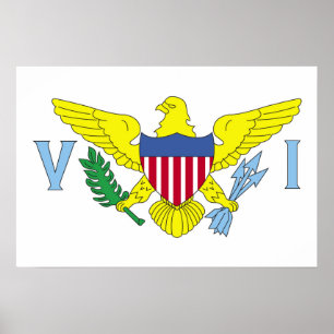 Flag of the United States Virgin Islands Poster