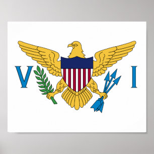 Flag of the United States Virgin Islands Poster