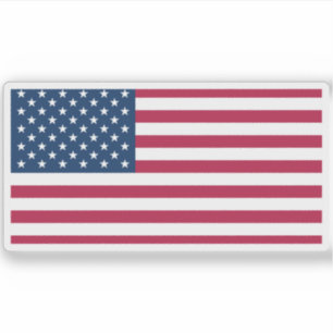 Flag of the USA (1960–today)