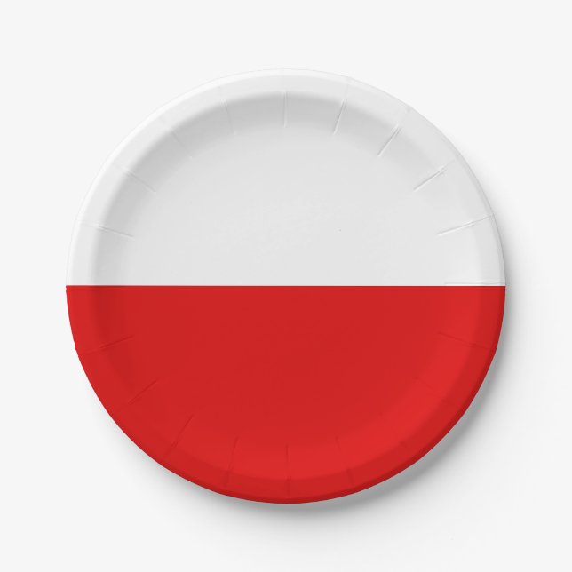 Flag of Thuringia Paper Plates (Front)