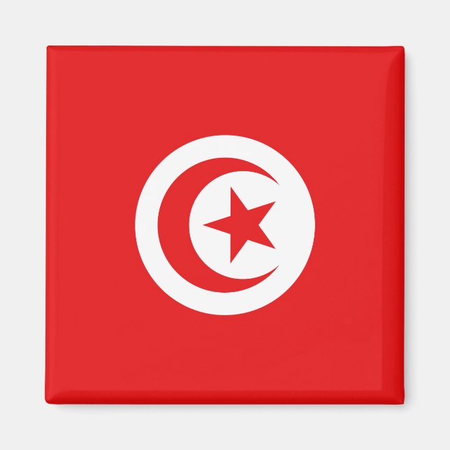 Flag of Tunisia Magnet (Front)