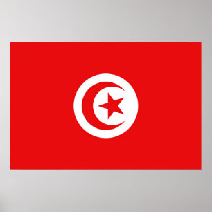 Flag of Tunisia Poster
