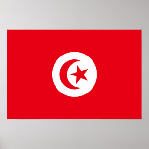 Flag of Tunisia Poster