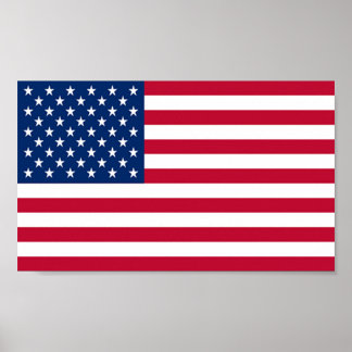 Flag of United States of America Poster