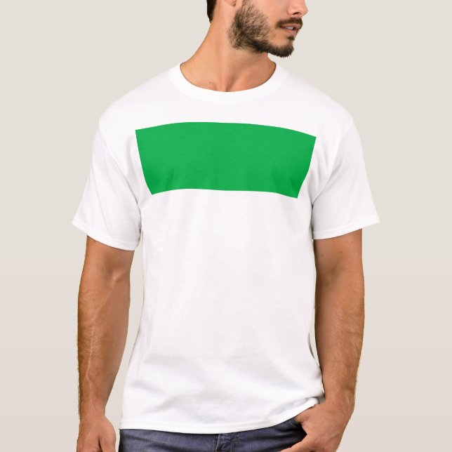 Flag of Vlieland T-Shirt (Front)
