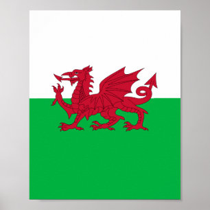 Flag of Wales (Cymru) Poster