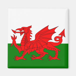 Flag of Wales Magnet