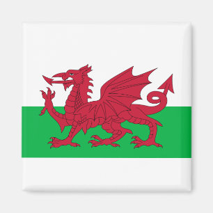 Flag of Wales Magnet