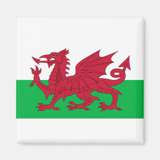 Flag of Wales Magnet