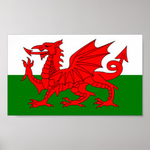 Flag of Wales Poster