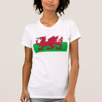 Flag of Wales - The Red Dragon - Baner Cymru