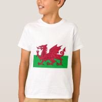 Flag of Wales - The Red Dragon - Baner Cymru
