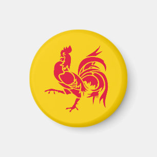 Flag of Wallonia Magnet