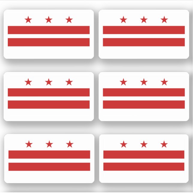 Flag of Washington DC, American state flag (Front)