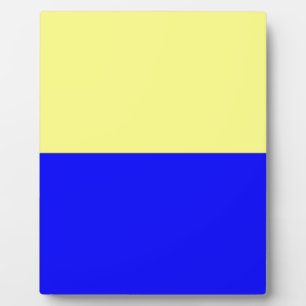 Flag of Zandvoort Plaque