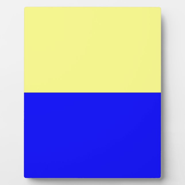 Flag of Zandvoort Plaque (Front)