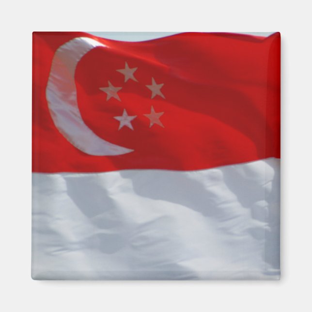 flag singapore magnet (Front)
