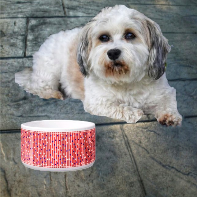Flag Stars  (Your pet is definitely an American, with the Flag Stripes Pet Bowl!)