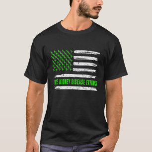 Flag Trex Dino Make Kidney Disease Extinct Awarene T-Shirt