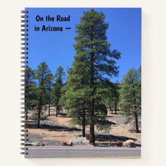 Flagstaff, Arizona - Travel Notebook