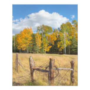 Flagstaff meadow photo print