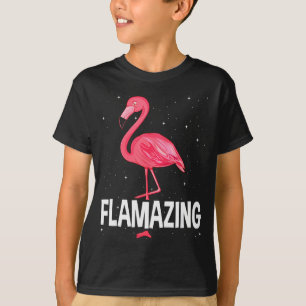 Flamazing Nk Flamingo Novelty Flamingo Lover Funny T-Shirt