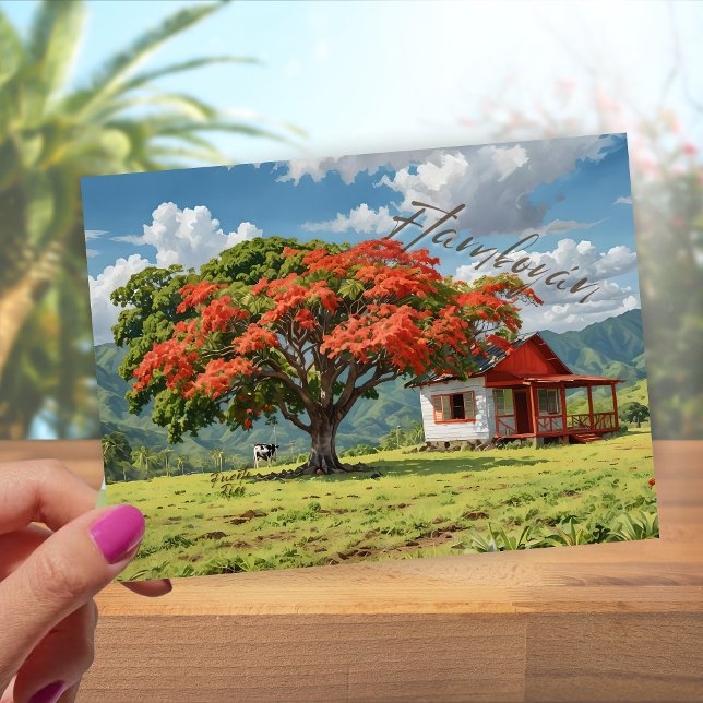 Flamboyán de Puerto Rico Postcard (Creator Uploaded)