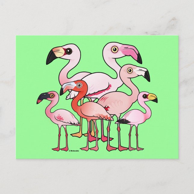 Flamboyance Postcard (Front)