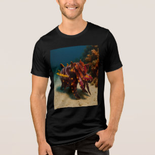 Flamboyant Cuttlefish Tri-Blend Shirt