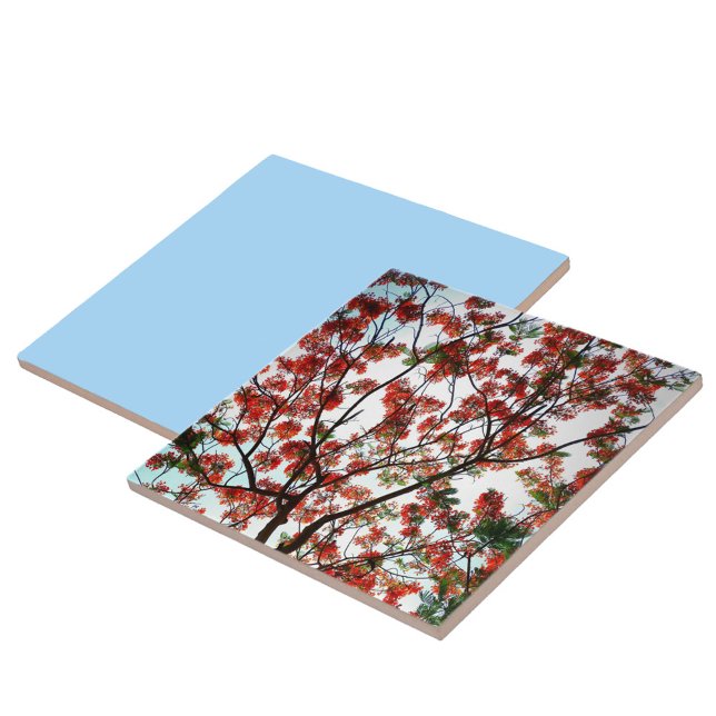 Flamboyant Royal Poinciana Tree Ceramic Tile (Creator Uploaded)