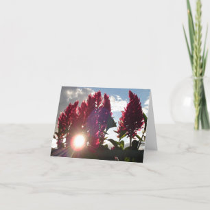 Flame Flowers at Sunset v2 Card