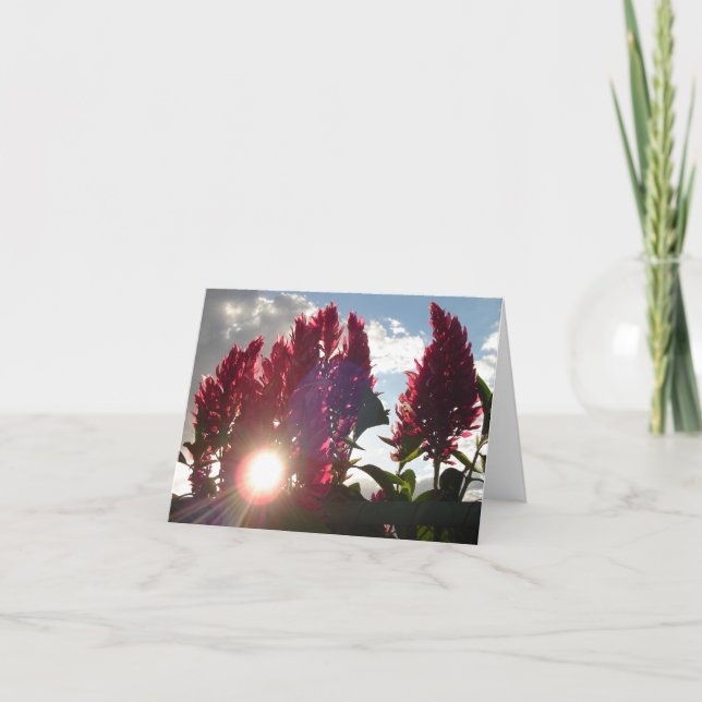 Flame Flowers at Sunset v2 Card (Front)