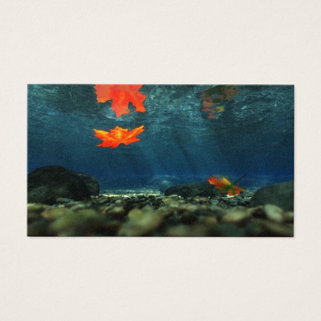 Flame in the Water Bookmarks (Front)