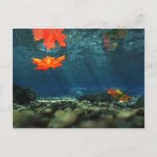 Flame in the Water Postcard