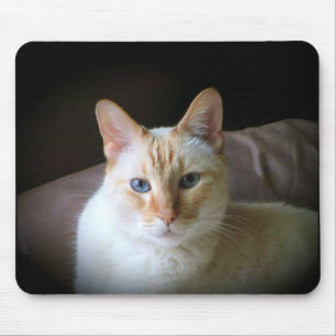 Flame Point Siamese Cat with Beautiful Blue Eyes Mouse Pad