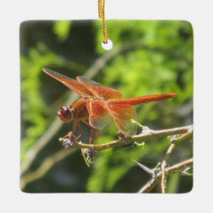 Flame Skimmer Dragonfly Ceramic Ornament