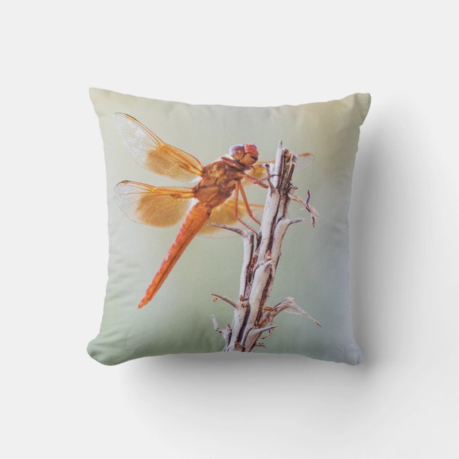 Flame Skimmer Dragonfly on Agave Cushion (Front)