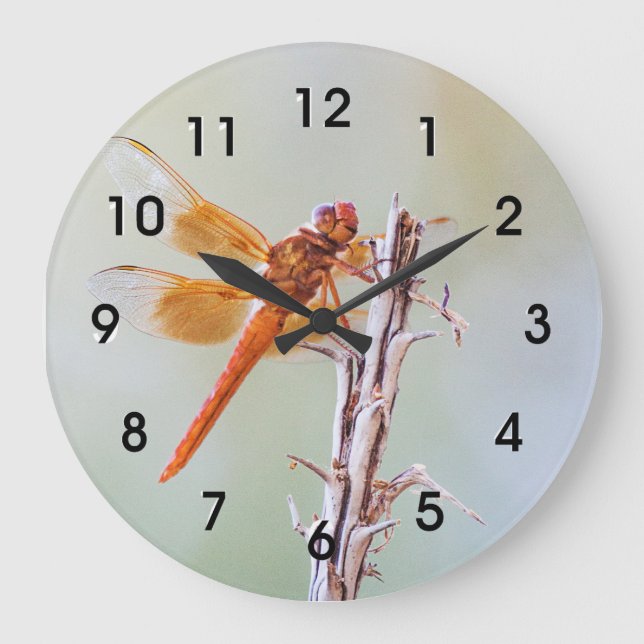 Flame Skimmer Dragonfly on Agave Large Clock (Front)