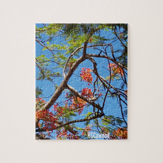 Flame Tree Jigsaw Puzzle (Vertical)