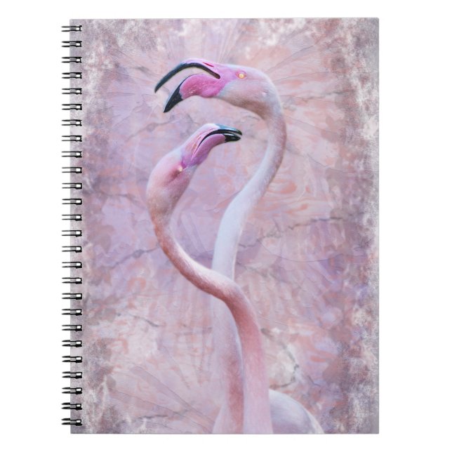 Flamenco Notebook (Front)